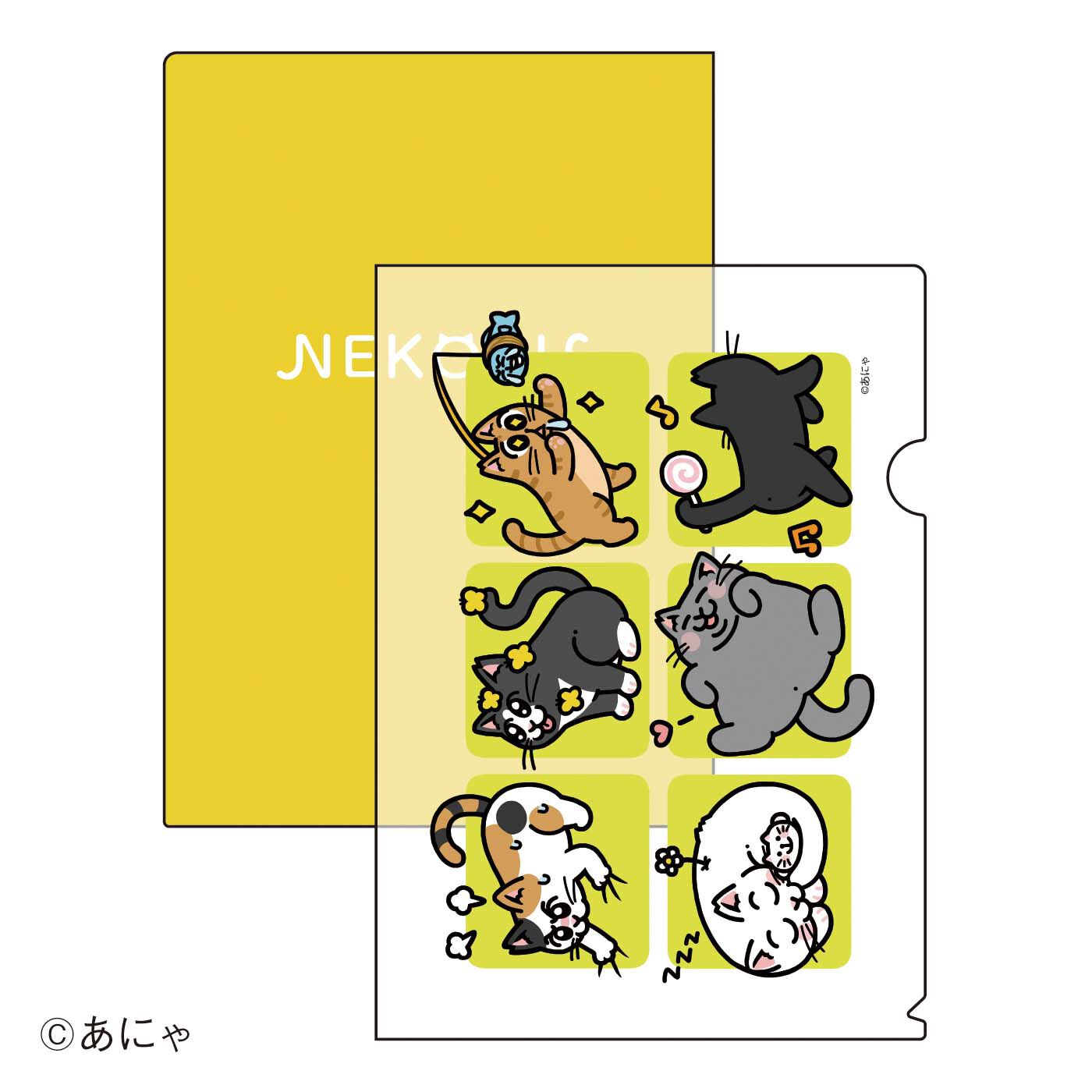Real Stock | あにゃ地域猫Ｆ２０２５