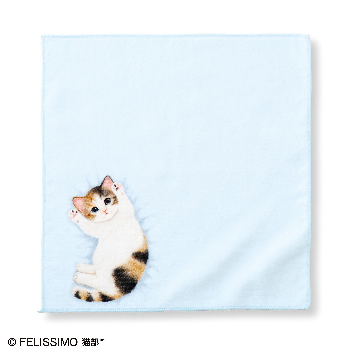 猫部|子猫がへそ天でごろ～ん　タオルハンカチの会