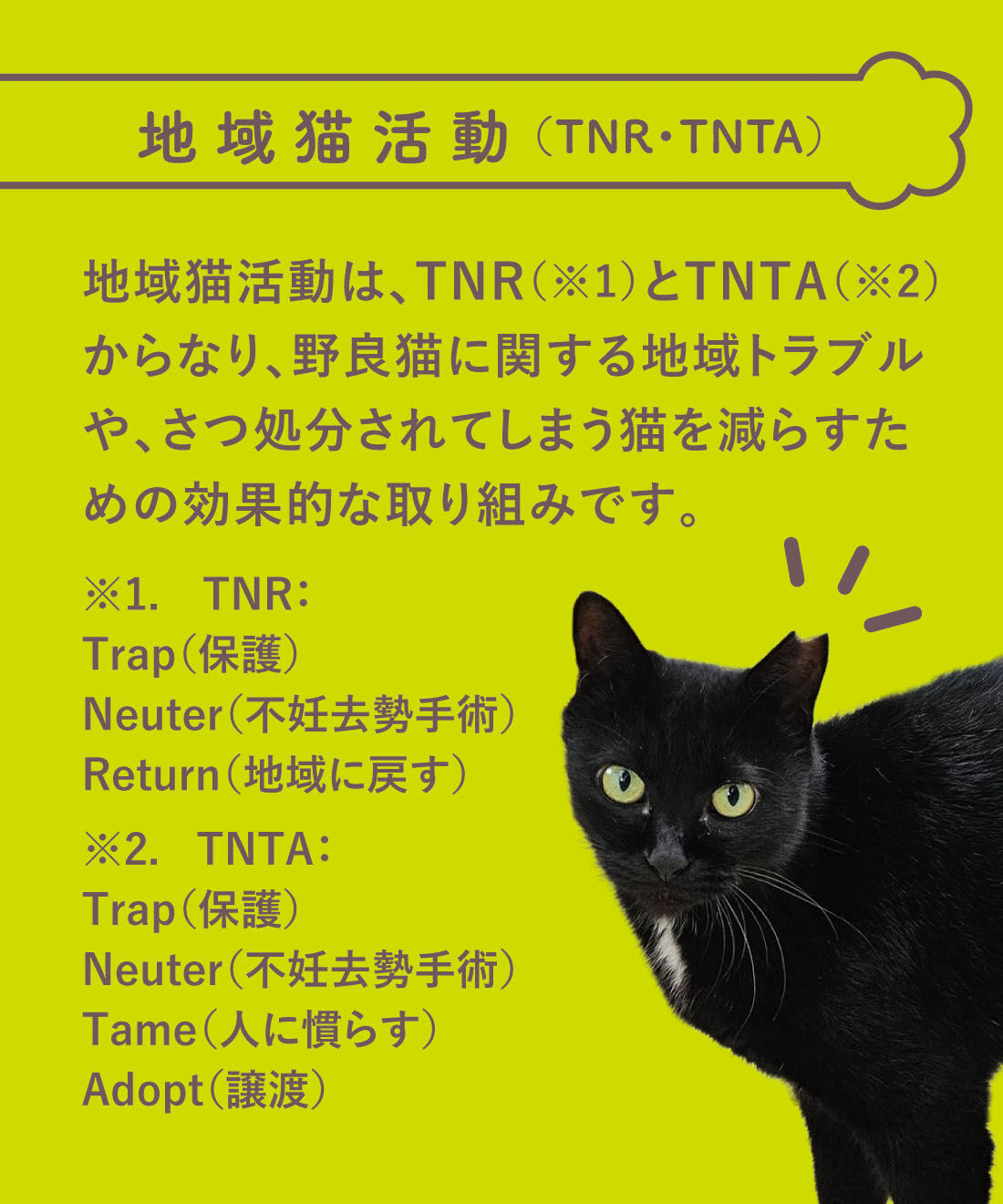 フェリシモギフトショップ|ミキ亜生&times;猫部 地域猫チャリティーTシャツ2026