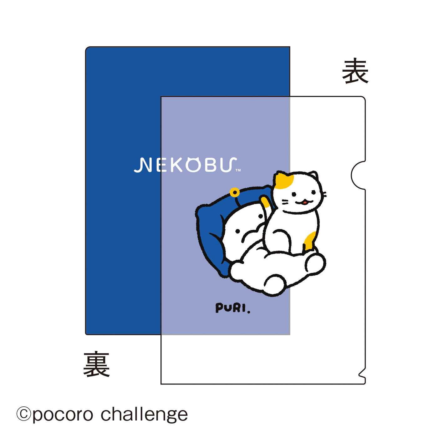 フェリシモギフトショップ | ぽころチャレンジ地域猫Ｆ２０２６