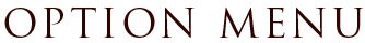 OPTION MENU