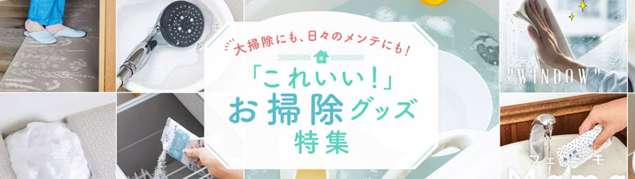 お掃除グッズ