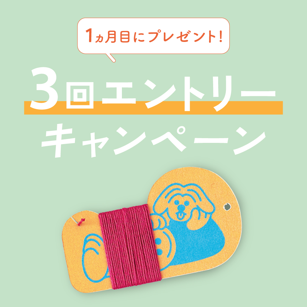 3回エントリーキャンペーン