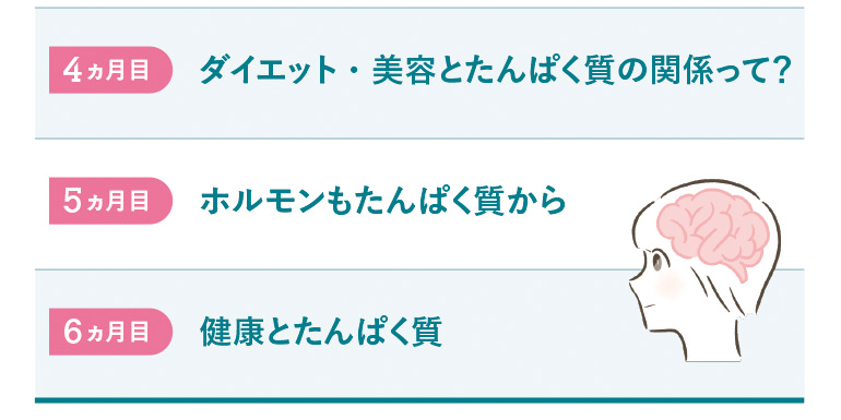 今から始める、たんぱく質生活